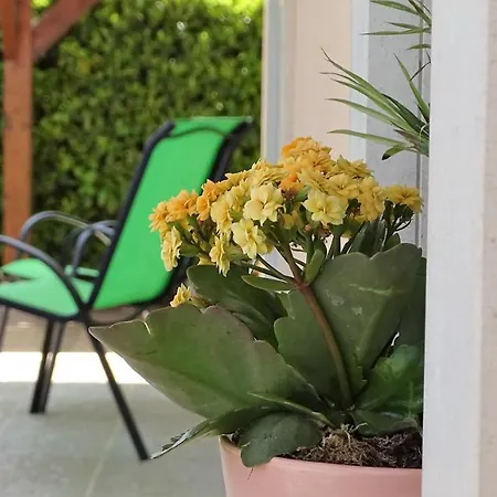 Casa Do Monte Amarelo 招待所 *