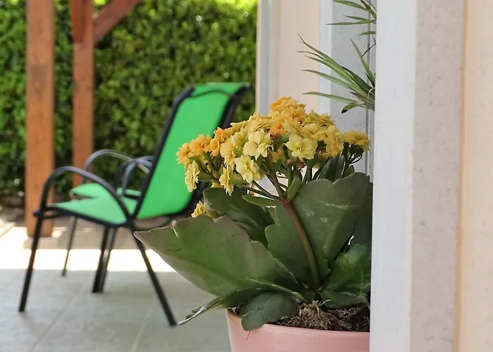 Casa Do Monte Amarelo Guest house *